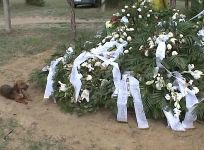 Egy hete nem tágít Attila sírhelye mellől a kutyája..Őrzi szeretett gazdája sírját, ez a tünemény..