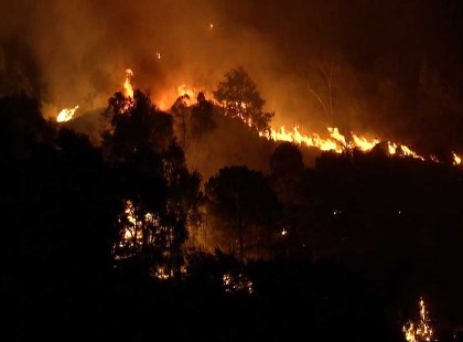 Lángol a Mecsek, több ház teljesen leégett, már helikopterről oltják a tüzet. Nem alszik el