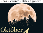 Kos - Bika - Ikrek-Rák-Oroszlán-Szűz-Mérleg-Skorpió-Nyilas-Bak - Vízöntő - Halak figyelem!Hatalmas változást hoz a holnapi nap!Holnapi horoszkóp (KEDD)