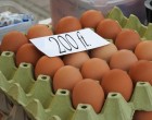 3-4 hét és 200ft darabja a tojásnak !Mutatjuk miért