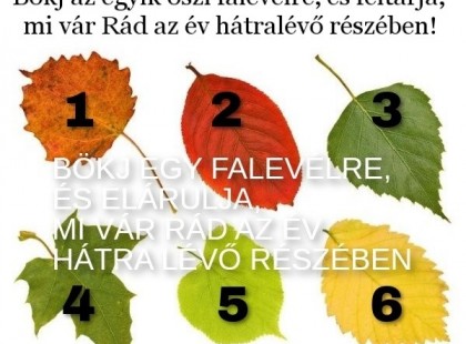 Bökj az egyik őszi falevélre, és feltárja, mi vár Rád az év hátralévő részében!