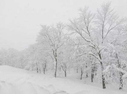 Borzalmasan hideg tél vár ránk! ITT NAGY 4 HÓNAPOS előrejelezés : NOVEMBERRE, DECEMBERRE, JANUÁRRA, FEBRUÁRRA!
