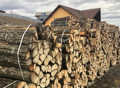Ma elmentem én is megvenni a télire való tűzifát. A fizetésnél dobtam egy hátast, ugyanis olyan árat kaptam amire nagyon nem számítottam!