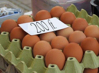 3-4 hét és 200ft darabja a tojásnak !Mutatjuk miért