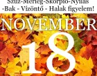 Kos - Bika - Ikrek-Rák-Oroszlán-Szűz-Mérleg-Skorpió-Nyilas-Bak - Vízöntő - Halak figyelem!Hatalmas változást hoz a holnapi nap!Holnapi horoszkóp (PÉNTEK)