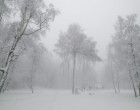 Itt már 15 CM hó esett !Havazik Magyarországon!