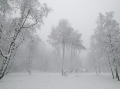 Itt már 15 CM hó esett !Havazik Magyarországon!