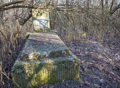 Tegnap a Rákoskeresztúri köztemető egy eldugott parcellájában egy elhanyagolt sírt találtam..Mikor megtudtam kié...