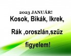 Megérkezett a nagy 2023-as januári horoszkóp:Kosok, Bikák, Ikrek,Rák ,oroszlán,szűz figyelem!