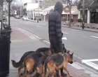 Olyan, mintha ez a férfi csak a kutyáit sétáltatná - ám a videót megnézve szavak nélkül maradtam