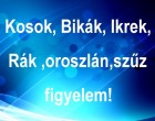 Kosok, Bikák, Ikrek,Rák ,oroszlán,szűz figyelem!: jön a nagy fordulat hete, most légy résen!