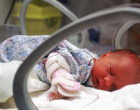A hatvani Albert Schweitzer kórház babamentő inkubátorában hagyták magára a kisbabát!- A gyermek mellé, EZT a szívszorító üzenetet tették szülei: