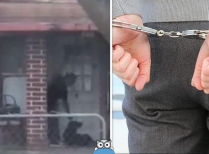 25 év börtönt kapott egy férfi, akit kutyája megverésén kaptak