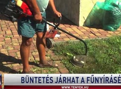 Megjelent a rendelet – Nem mindegy melyik nap, hány órakor vágsz füvet, akár százezer forintos bírságot is kaphatsz!