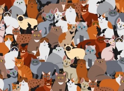 Sokkal Intelligensebb vagy az átlagnál, ha megtalálod a fekete macskát 5 másodperc alatt!