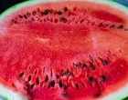 Nyáron rendszeresen eszem dinnyét, ám mióta megtudtam, mit tesz a testemmel..
