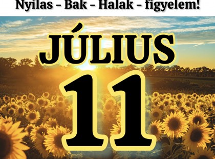 Kos - Bika - Ikrek - Rák - Oroszlán - Szűz - Mérleg - Skorpió - Nyilas - Bak - Vízöntő - Halak figyelem ⚠️⚠️ Mai horoszkóp (KEDD) ⚠️⚠️