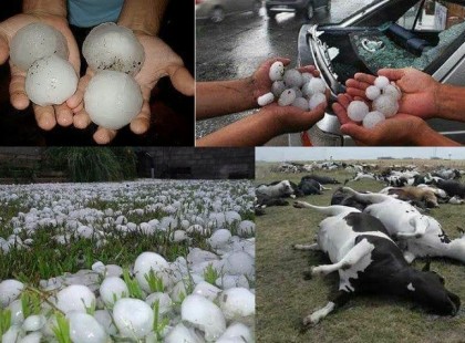 Isten nem ver bottal igaz? Csak pusztító jégesővel... és olyan nagy jéggombócokkal, hogy akkora pusztítást láthatunk, ami nem mindennapi. A képek tegnap kerültek fel a facebookra... nem hazánkban készültek, de részvétünk mindenkinek, akikre lesúlytott... Egy borzalom + videó az óriási pusztításról és veszteségekről