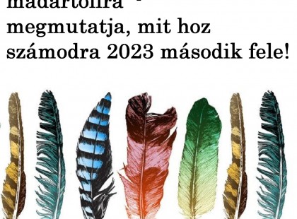 Bökj a legszebb madártollra – megmutatja, mit hoz számodra 2023 második fele!