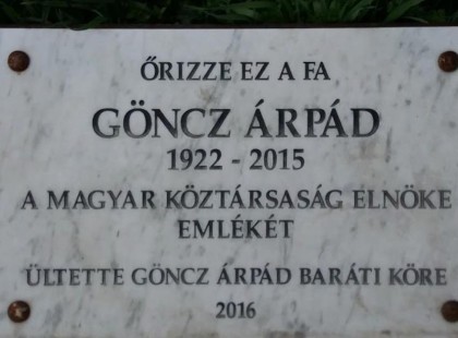 Kivágták Göncz Árpád emlékfáját Óbudán