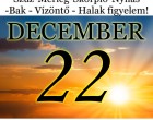 Komoly változást hoz a holnapi nap! Kos - Bika - Ikrek-Rák-Oroszlán-Szűz-Mérleg-Skorpió-Nyilas-Bak - Vízöntő - Halak figyelem!Hatalmas változást hoz a holnapi nap!Holnapi horoszkóp (PÉNTEK)
