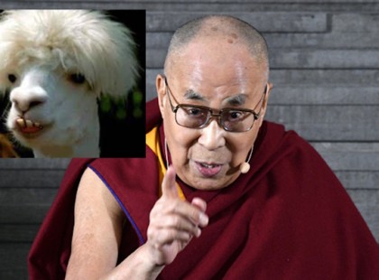 A LÁMA 2024-es évi jóslata ezeknek a csillagjegyeknek nem sok jót tartogat