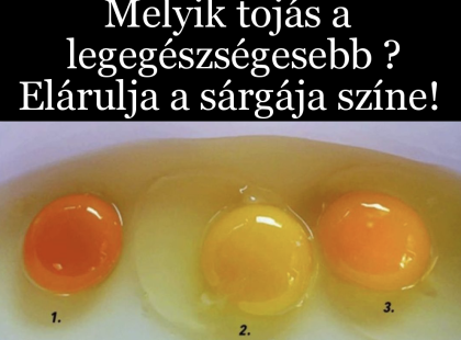 Melyik tojás a legegészségesebb? Elárulja a sárgája színe