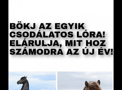 Bökj az egyik csodás paripára - elárulja, mi vár Rád 2024-ben!