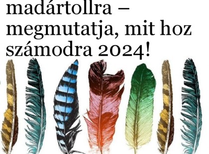 Bökj a legszebb madártollra – megmutatja, mit hoz számodra 2024