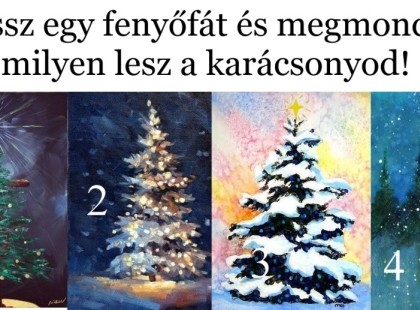 Válassz egy fenyőfát és megmondjuk, milyen lesz a karácsonyod!