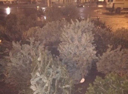 Inkább darabokra vágták a fenyőfaárusok a megmaradt fákat, csak hogy ne vihessék el a rászorulók.. Emberségből levizsgáztak.