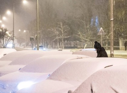Szakad a hó Magyarország EZEN területén - Mégis fehér lesz a karácsony?