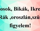 Kosok, Bikák, Ikrek,Rák ,oroszlán,szűz figyelem! Holnapi horoszkóp - Január 30 kedd 