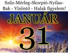 Kos - Bika - Ikrek-Rák-Oroszlán-Szűz-Mérleg-Skorpió-Nyilas-Bak - Vízöntő - Halak figyelem!Hatalmas változást hoz a holnapi nap!Holnapi horoszkóp (SZERDA)