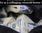 Hétvégén jön a Januári pénzeső! Ez az 5 csillagjegy részesül benne !