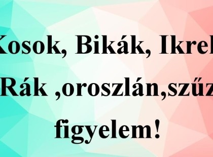 Kosok, Bikák, Ikrek,Rák ,oroszlán,szűz figyelem! Holnapi horoszkóp - Január 30 kedd 