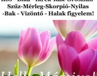 Megérkezett a nagy 2024-es MÁRCIUSI horoszkóp:Kos - Bika - Ikrek-Rák-Oroszlán-Szűz-Mérleg-Skorpió-Nyilas-Bak - Vízöntő - Halak figyelem!