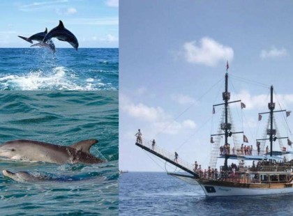 Delfint láttak a Balatonnál- Fotó is készült róla!