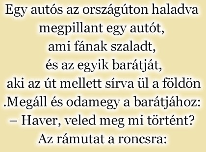 Egy autós az országúton haladva megpillant egy autót