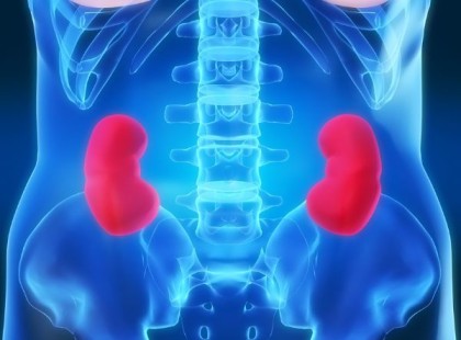 6 rossz szokás, ami elpusztítja a vesédet – azonnal hagyd abba ezeket