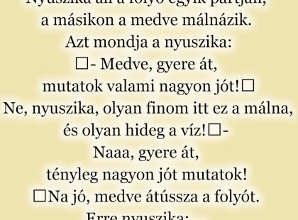 Nyuszika áll a folyó egyik partján, a másikon a medve málnázik.