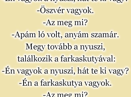 A nyuszi találkozik az öszvérrel