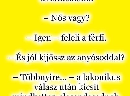 VICC: A kíváncsi fodrászlány