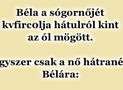 Béla a sógornőjét az ól mögött