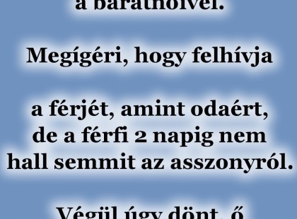 A feleség elmegy nyaralni a barátnőivel. Megígéri, hogy felhívja a férjét﻿