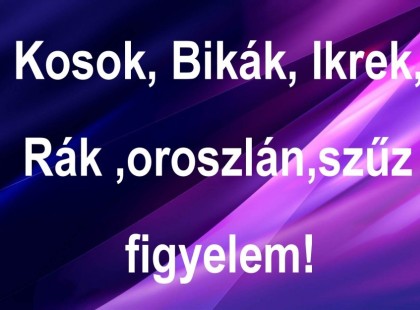 Kosok, Bikák, Ikrek,Rák ,oroszlán,szűz figyelem! Mai horoszkóp