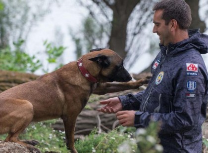 Elhunyt Symba, a Magyar hős mentőkutya, akinek nevét a világ legjobbjai között jegyezték