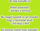 Két férfi beszélget. Az egyik felzaklatva meséli a másiknak