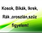 Kosok, Bikák, Ikrek,Rák ,oroszlán,szűz figyelem! Mai horoszkóp(SZOMBAT)