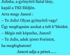 Juliska, a gyönyörű fiatal lány, kapál a TSZ földjén. Arra megy Jancsi és megszólítja